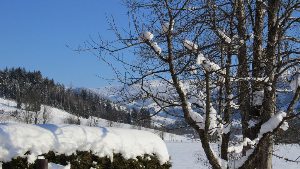 Apartament Ramseiderhof Saalfelden Zewnętrze zdjęcie